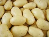 batata